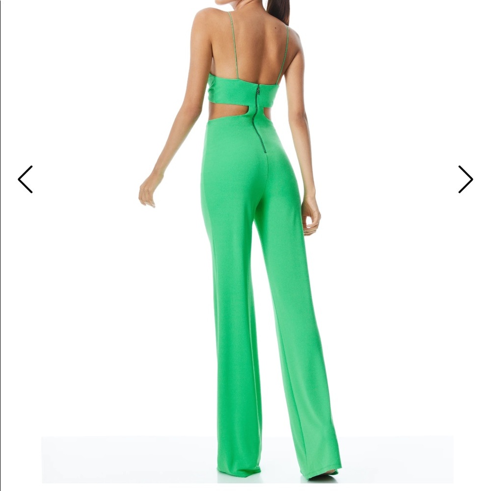 New Alice and Olivia Havana jumpsuit - Picture 4 of 16